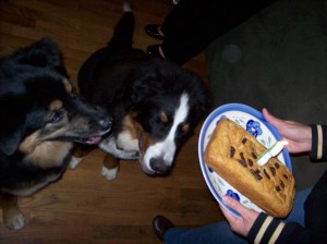 Jabba-bear and his friend Bear about to enjoy his 3rd birthday cake