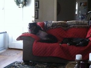 Brother and sister on the couch. 