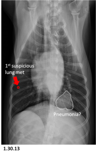 Jabba X-ray for blog 1.30.13