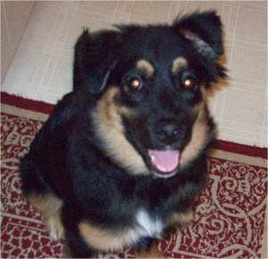 Teenager Jabba-bear. He is still developing his classic "goofy smile". 